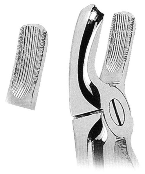 Extracting Forceps