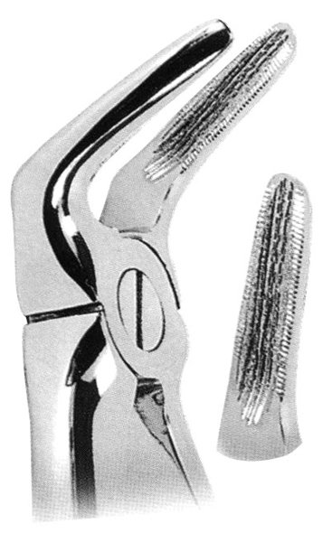 Extracting Forceps
