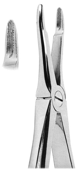 Extracting Forceps