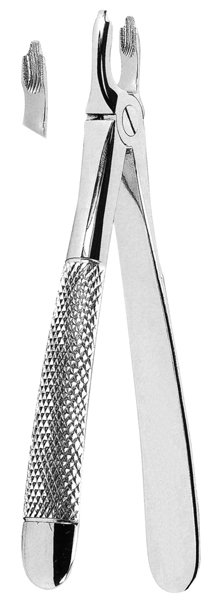 Extracting Forceps