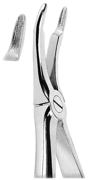 Extracting Forceps