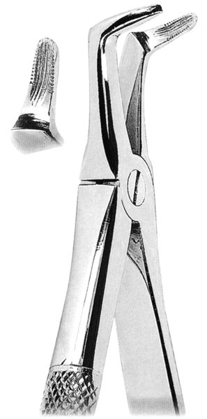 Extracting Forceps