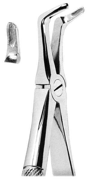 Extracting Forceps