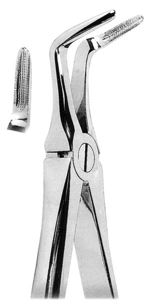 Extracting Forceps