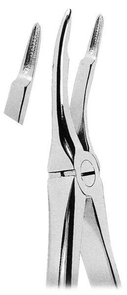 Extracting Forceps