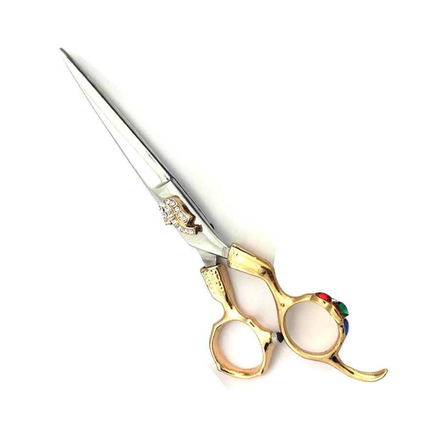 Professional Barber Shears
