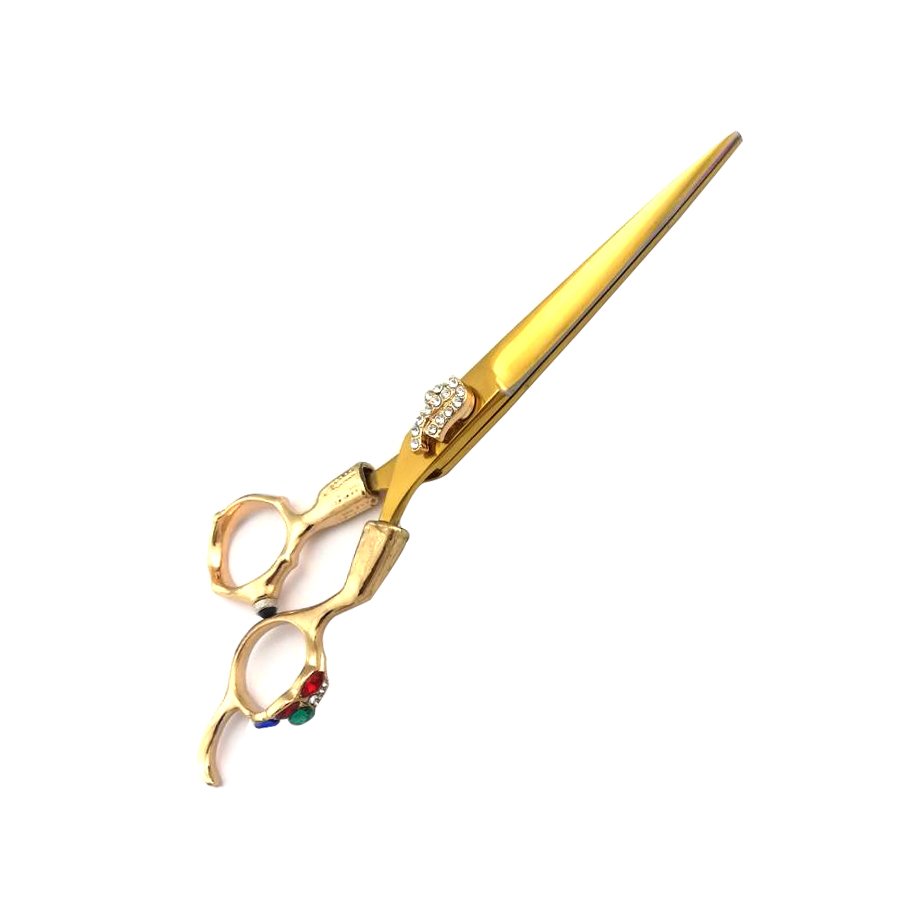 Professional Barber Shears