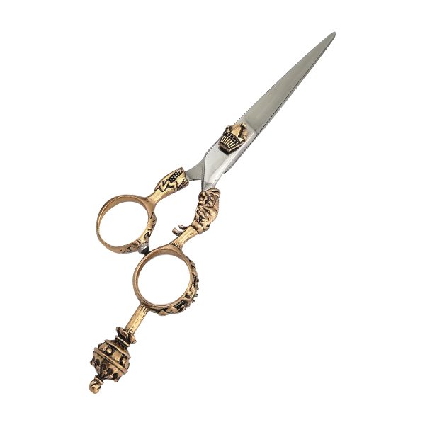 Professional Barber Shears
